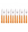 12 pcs steak set with wood handle