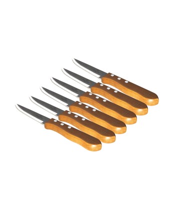 6 pcs steak knife set with wood handle