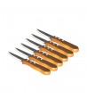 6 pcs steak knife set with wood handle