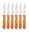 6 pcs steak knife set with wood handle